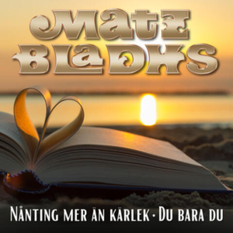 Nånting mer än kärlek / Du, bara du album art