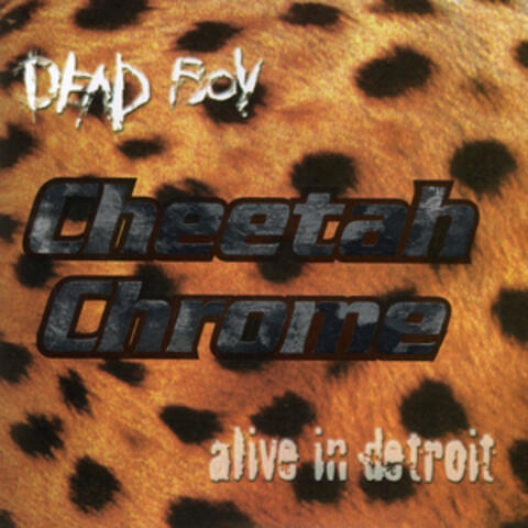 Dead Boy - Alive In Detroit album art