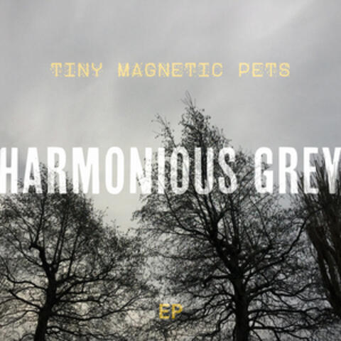 Harmonious Grey album art