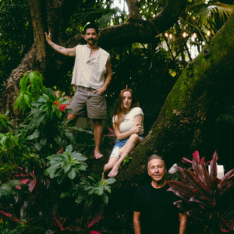 Si Tuviera Que Elegir album art