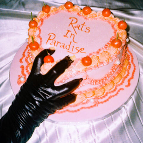 Rats In Paradise album art
