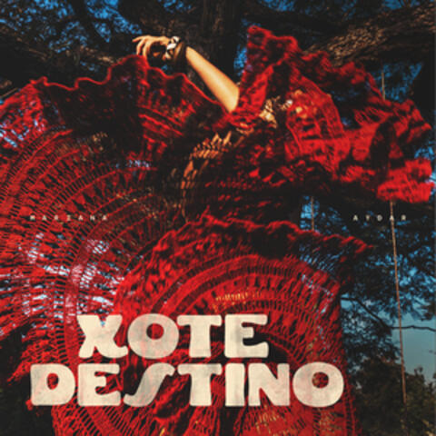 Xote Destino album art