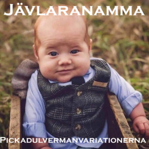 Pickadulvermanvariationerna album art