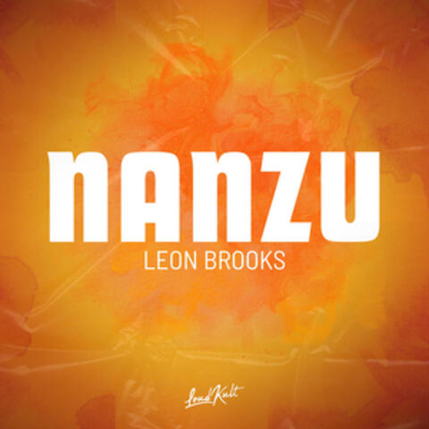 NANZU album art