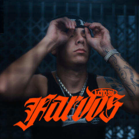 Fardos album art