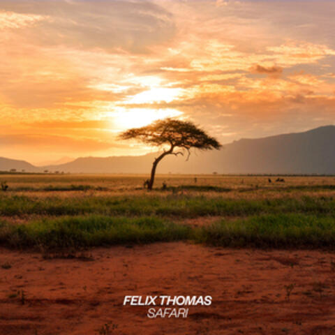 Safari album art
