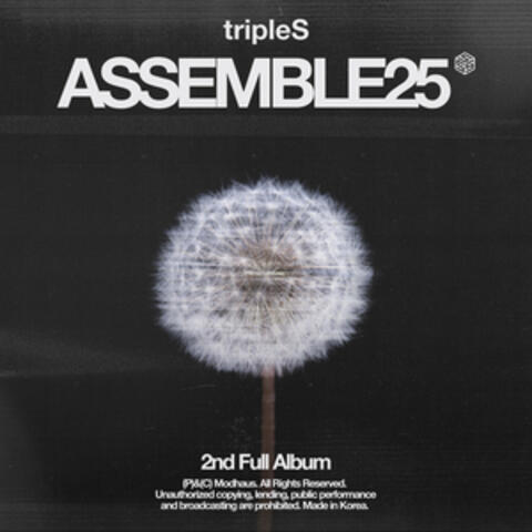 <ASSEMBLE25> album art