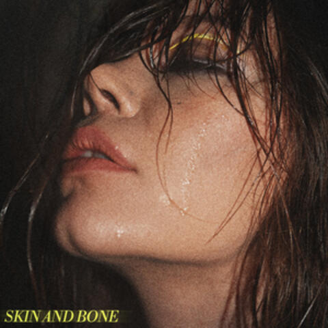 Skin and Bone album art