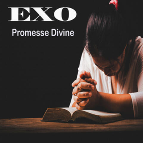 Promesse Divine album art