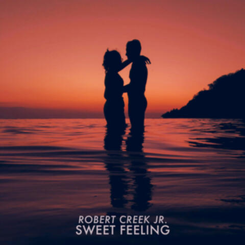 Sweet Feeling album art