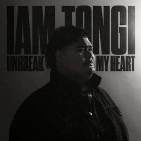Unbreak My Heart album art