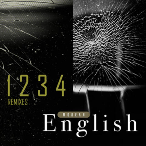 Voices album art