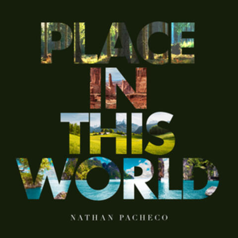 Place In This World album art