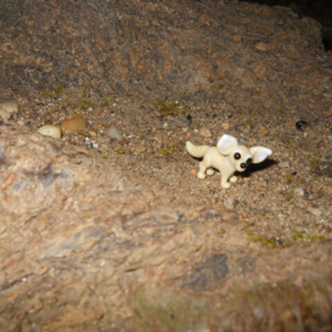 Bird Bones album art