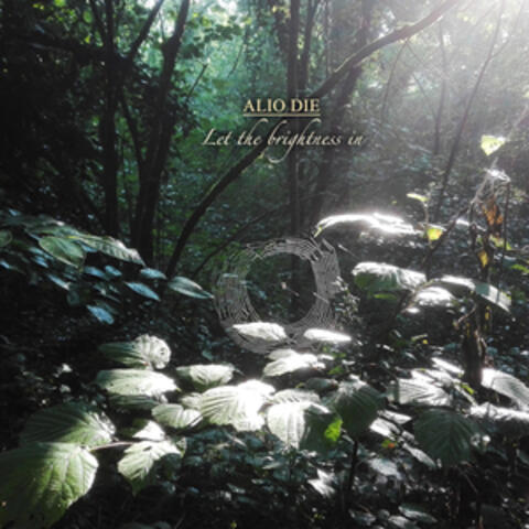 Let the brightness in album art