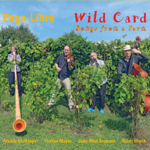 Wild Card album art