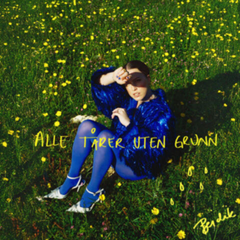 Alle tårer uten grunn album art