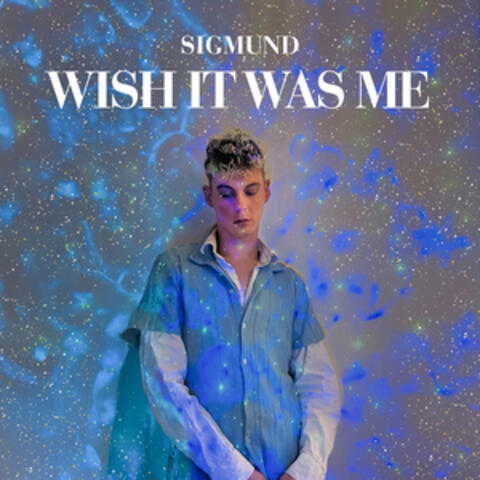 Wish It Was Me album art