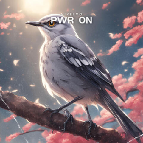 PWR ON album art