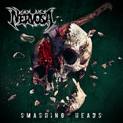 Smashing Heads album art