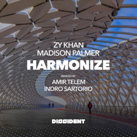 Harmonize album art