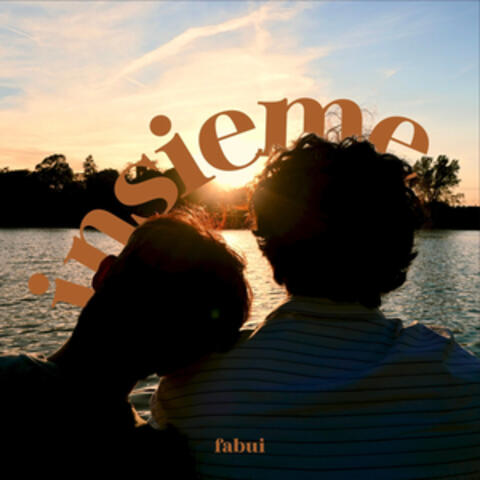 insieme album art