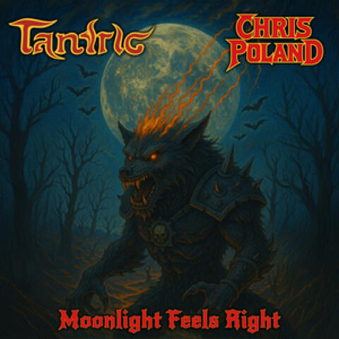 Moonlight Feels Right album art