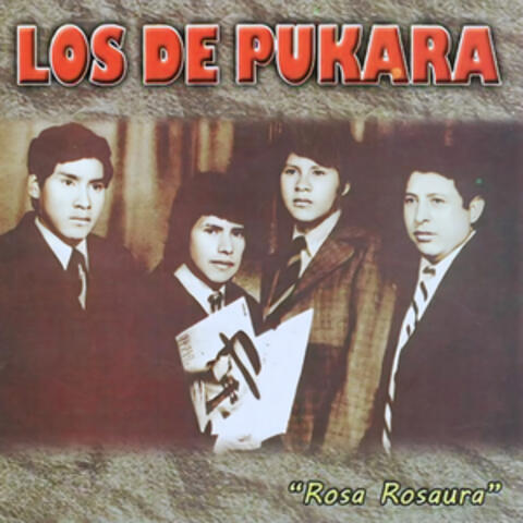 Rosa Rosaura album art