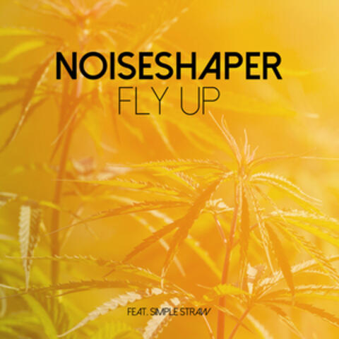Fly Up album art