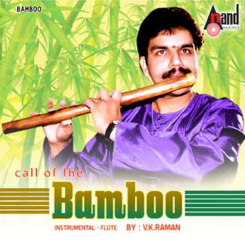 Call of the Bamboo album art