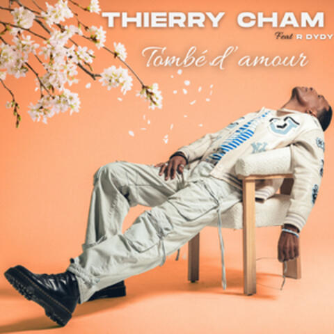Tombé d'amour album art