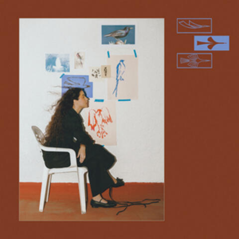 Como Un Pájaro album art