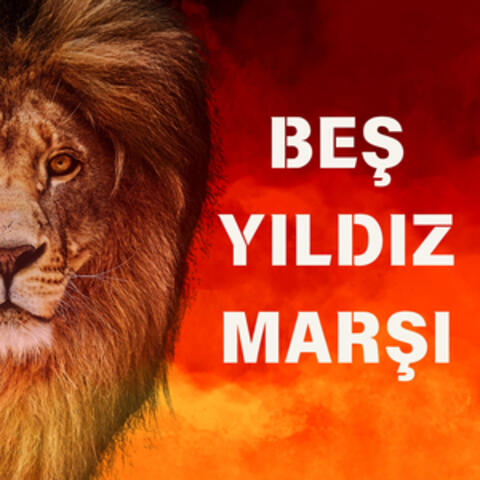 Beş Yıldız Marşı album art
