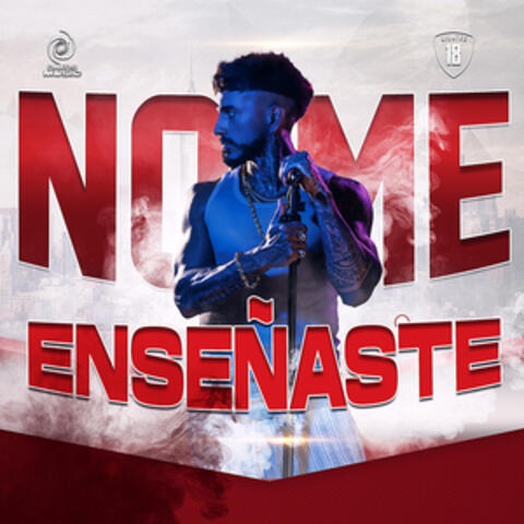 No Me Enseñaste album art