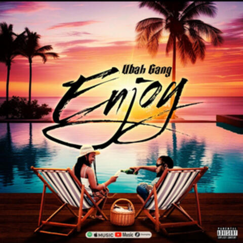 Enjoy album art