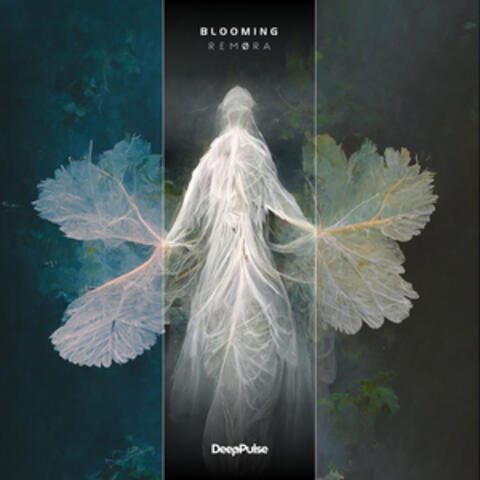 Blooming album art