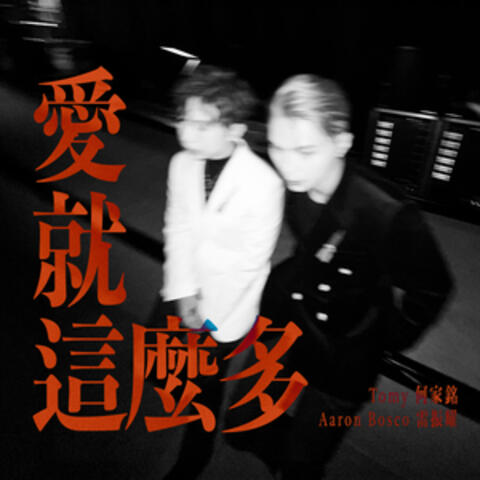 愛就這麼多 album art