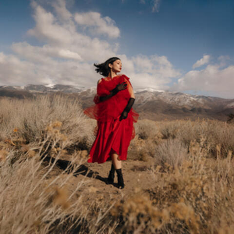 Ladybug album art