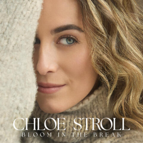 Bloom in the Break album art