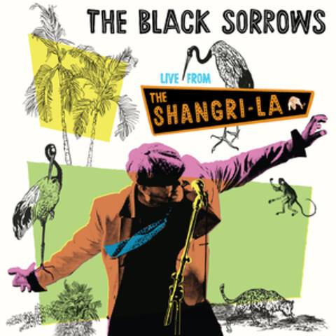 Live From The Shangri La album art