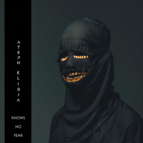 Knows no fear album art