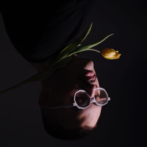 ALMA album art