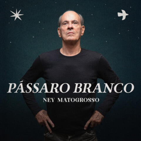 Pássaro Branco album art