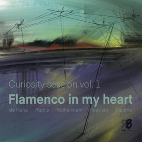 Curiosity Session Vol 1 - Flamenco in my heart album art