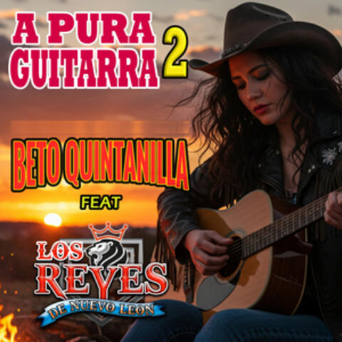 A Pura Guitarra album art
