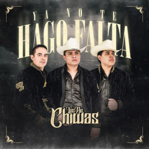 Ya No Hace Falta album art