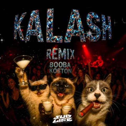 Kalash Remix album art