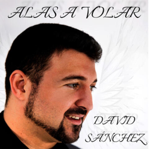 Alas a volar album art