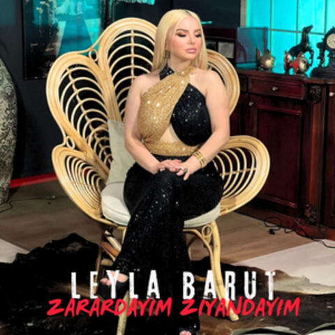 Zarardayım Ziyandayım album art