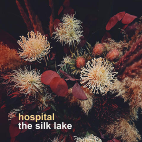 The Silk Lake album art